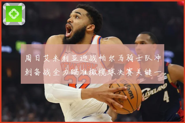 周日艾米利亚迎战帕尔马骑士队冲刺备战全力瞄准橄榄球决赛关键一成长观察：最新赛事动态与深度分析