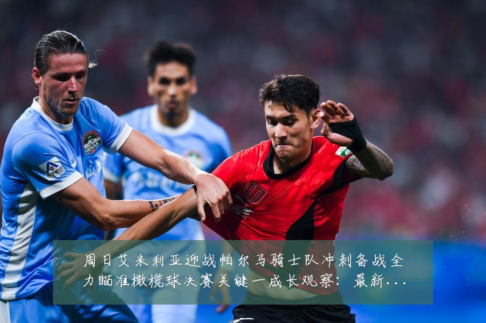 周日艾米利亚迎战帕尔马骑士队冲刺备战全力瞄准橄榄球决赛关键一成长观察：最新赛事动态与深度分析